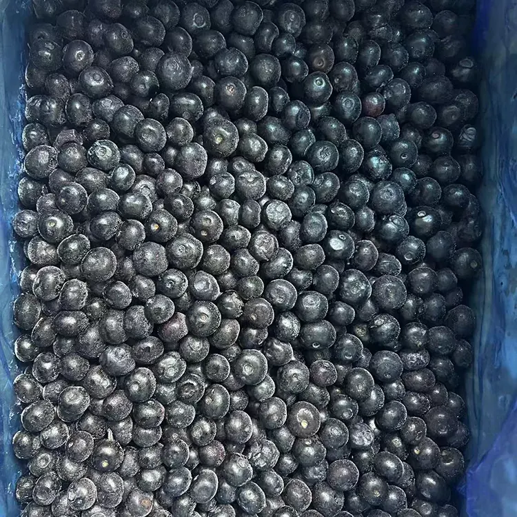 Mrazené čučoriedky Premium IQF čučoriedky