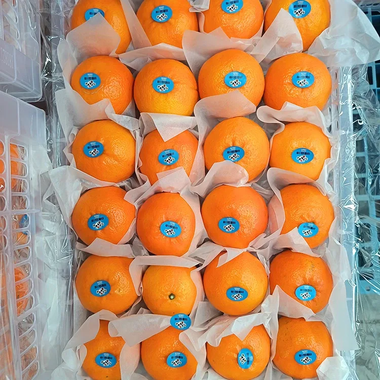 Prémiové čerstvé sladké Wogan mandarínky
